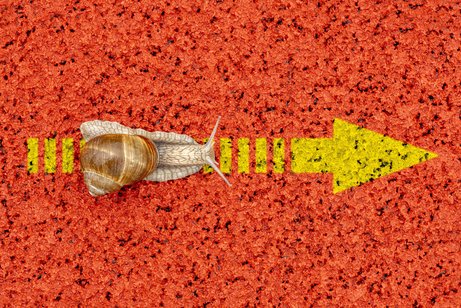 Symbolfoto für Langsamkeit: eine Schnecke kriecht über einen gelben Pfeil, der auf einem roten Gummiplatzboden aufgemalt ist.