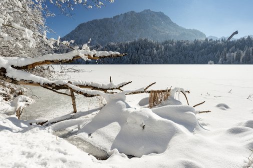 Landschaftsaufnahme mit einem zugefrorenen Bergsee im Winter. Im Vordergrund ragen schneebedeckte Äste ins Bild. Am anderen Ufer des Sees stehen Berge.