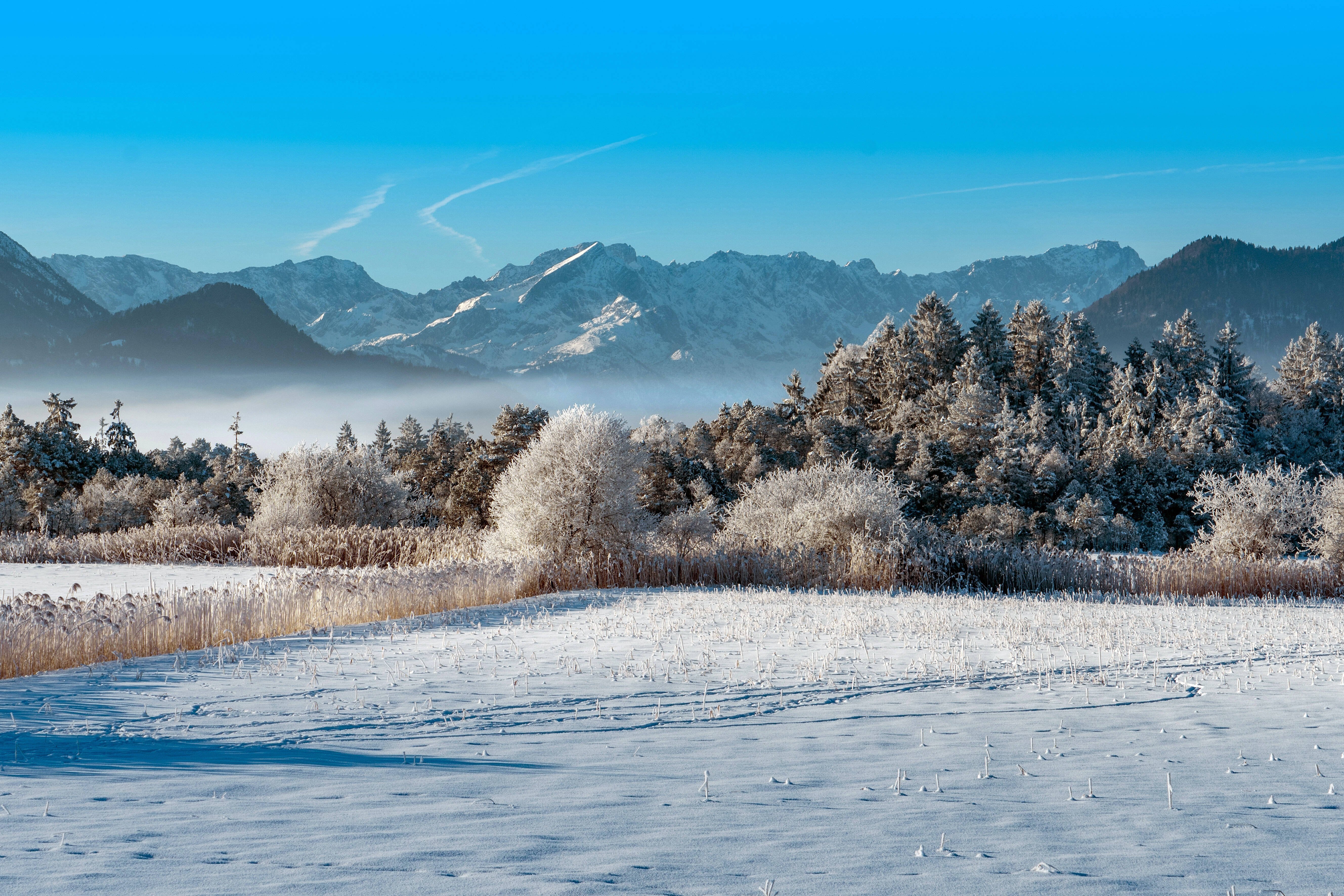 Foto von einer winterlichen Berglandschaft. 