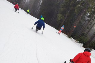 Man sieht die Teilnehmenden des Monoskikurses, wie sie die Piste herunterfahren.