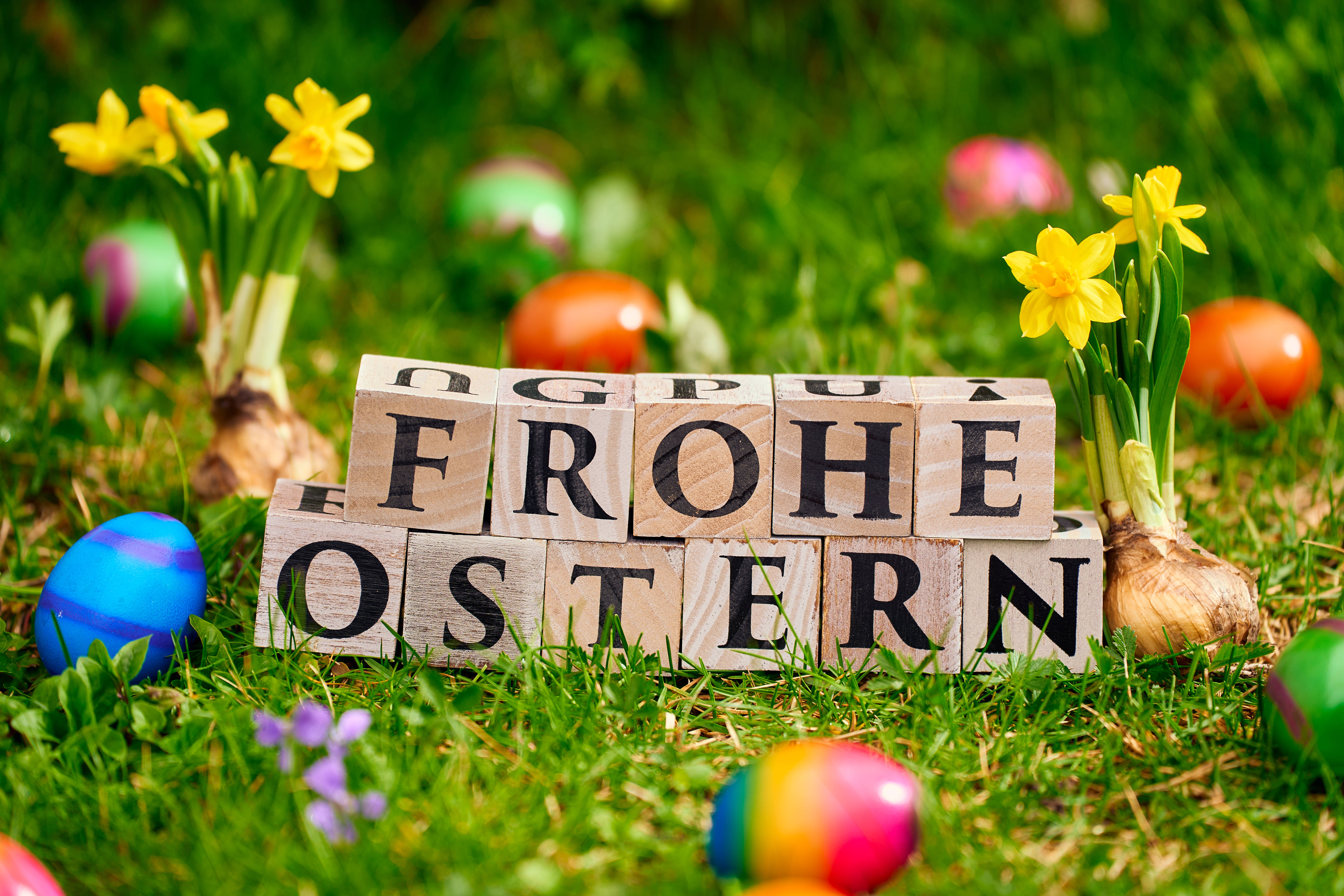 Holzkl&ouml;tze mit der Aufschrift &bdquo;Frohe Ostern&ldquo; liegen im Gras, dekoriert mit bunten Ostereiern und bl&uuml;henden gelben Narzissen.