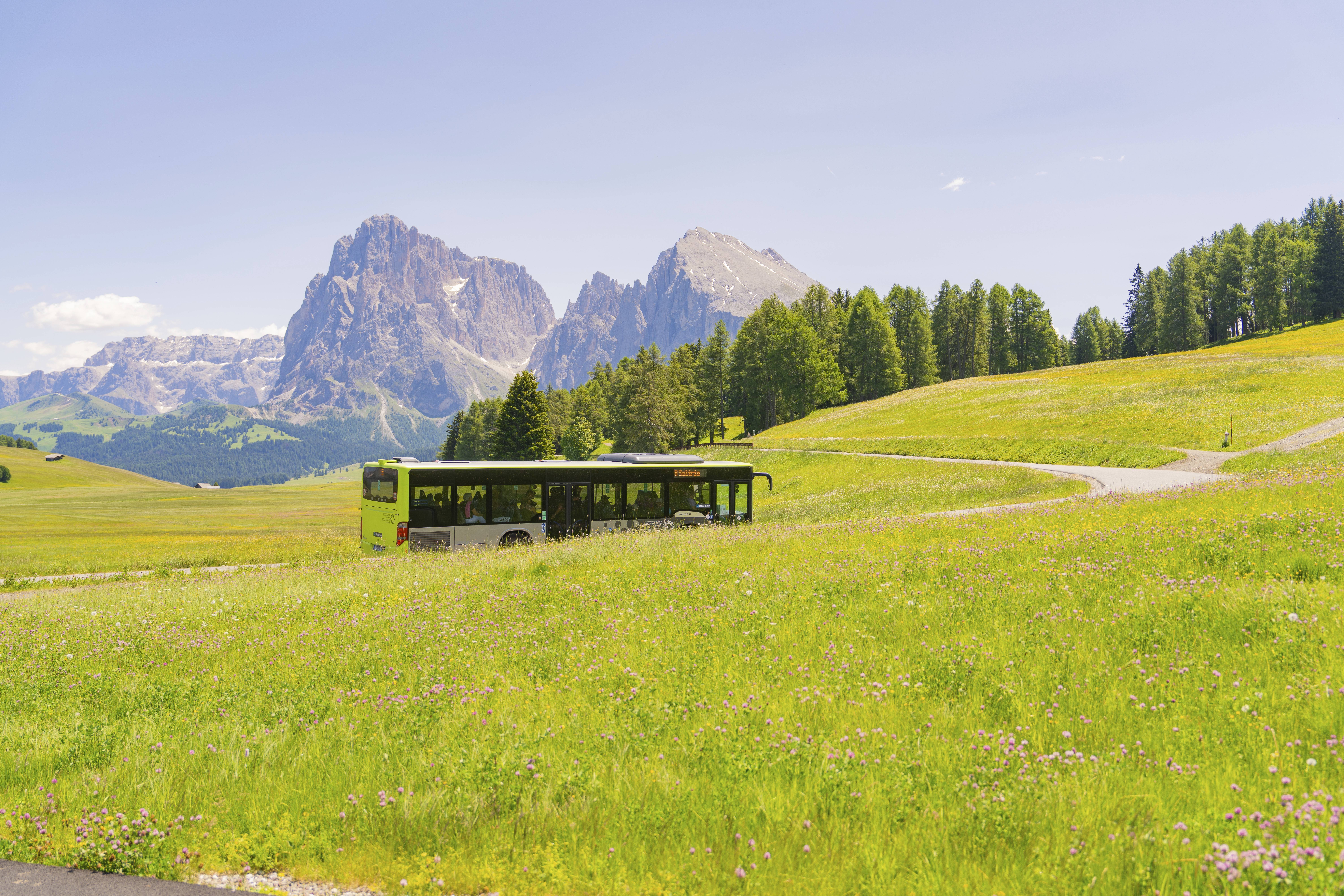 Busreise Tagesausflug Ein grüner Bus durchquert die Wiesenlandschaft mit Bergen im Hintergrund.