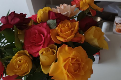 Rosen
