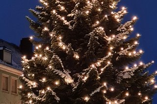 Mit brennender Lichterkette geschmückter Weihnachtsbaum, bei Nacht fotografiert.