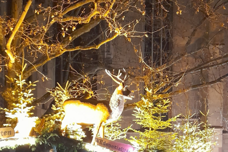 Weihnachtsmarkt Stuttgart Veranstaltungen