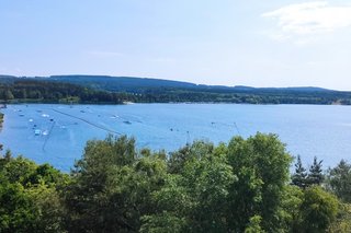 Steinberger See mit Booten eingebettet in Bäumen