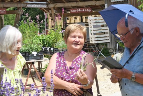 Wissenschaftliche Pflanzenbestimmung Wissenschaftliche Pflanzenbestimmung