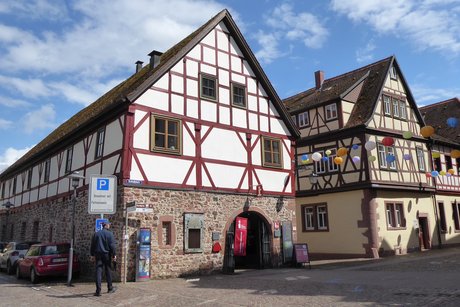 Bilder vom Ausflug am 20.05.2026 nach Lohr, Elfershausen