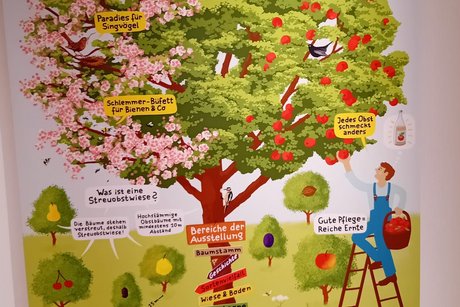 Streuobstwiesen Streuobstwiesen