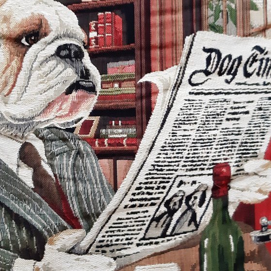 Hund liest Zeitung