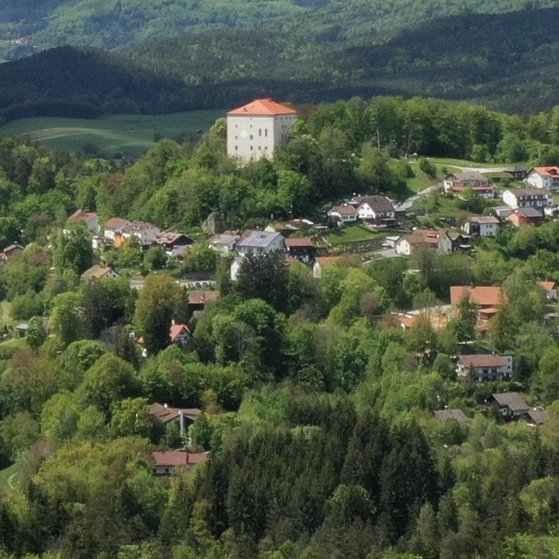 Wir geh&ouml;ren zum Kreisverband Bayerwald und sind Ihr starker Partner bei den Themen Rente, Krankheit, Pflege, Behinderung und Erwerbsminderung. Wir laden Sie herzlich ein zu unseren abwechslungsreichen und geselligen Veranstaltungen.