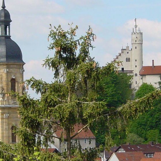 Blick auf G&ouml;&szlig;weinstein mit den beiden T&uuml;rmen der Kirche und Burg vom Aussichtspunkt Fischersruh