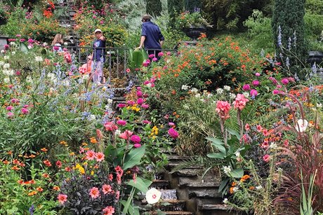 Die Wassertreppe auf der Insel Mainau, mit bunt bepflanzten Blumen.