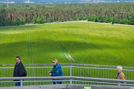 Jahresausflug des VdK : Von Steinberg am See bis zu den Schwandorfer Felsenkellern Jahresausflug des VdK : Von Steinberg am See bis zu den Schwandorfer Felsenkellern
