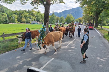 Jahresausflug des Vdk Bodenkirchen 2025