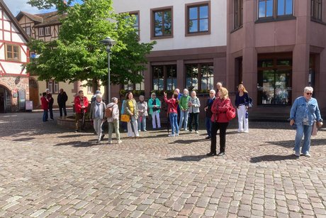 Bilder vom Ausflug am 20.05.2026 nach Lohr, Elfershausen