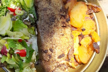 Forelle Veranstaltungen