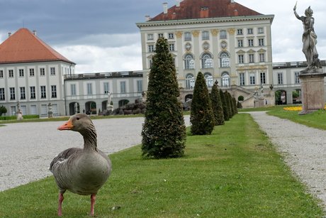 Schloss Nymphenburg