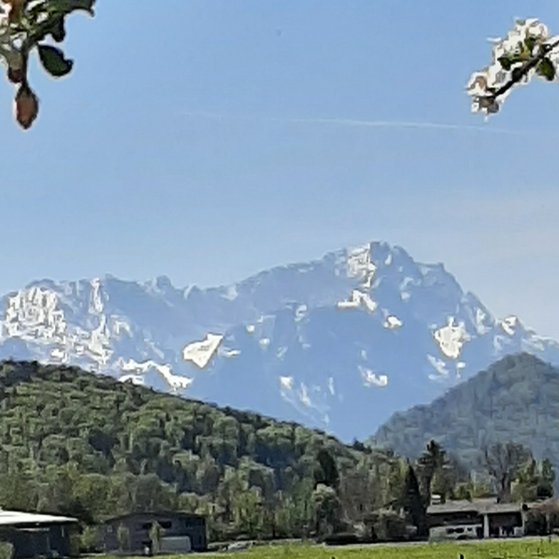 Fr&uuml;hling