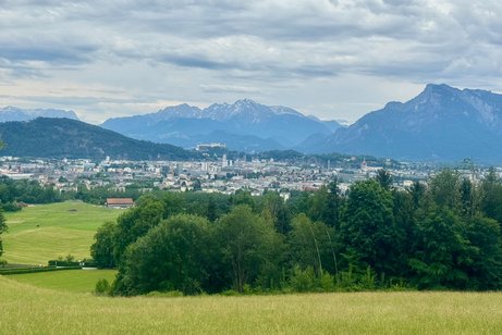 sch&ouml;ner Blick