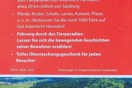 Programm