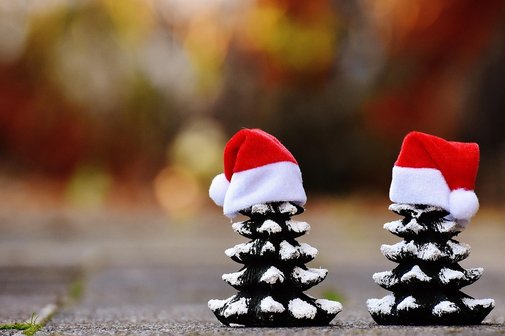 zwei kleine Tannenbäumchen mit Weihnachtsmütze