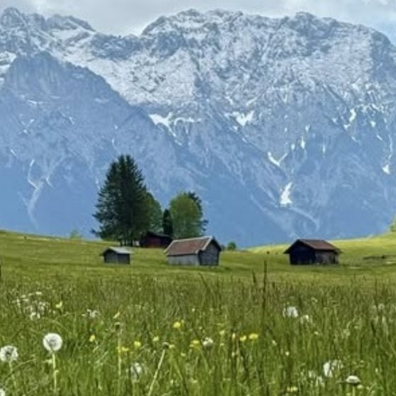 Buckelwiesen im Oberen Isartal Die Buckelwiesen erstrecken sich zwischen Kr&uuml;n, Klais und Mittenwald in Oberbayern. &Ouml;stlich an das Gebiet schlie&szlig;t das Karwendelgebirge an. Besonders im Fr&uuml;hjahr verwandelt sich dieses Naturschutzgebiet in eine einzigartige &uuml;ppige Flora mit blauem Enzian, Mehlprimeln und vielen anderen Arten.