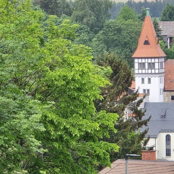 Kirche und Schloss im Ortsteil Brand