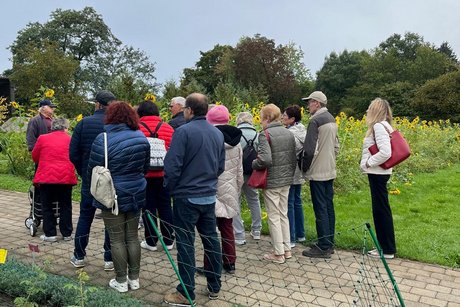 OV Deiningen, Alerheim, Fessenheim