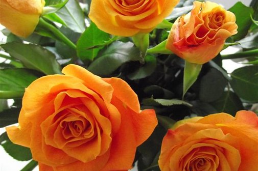 Blumenstrau&szlig; mit Bl&uuml;ten in orange