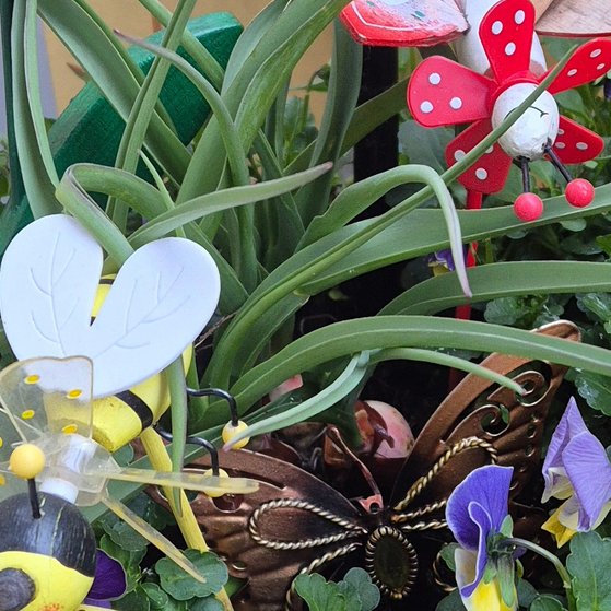 Stiefm&uuml;tterchen