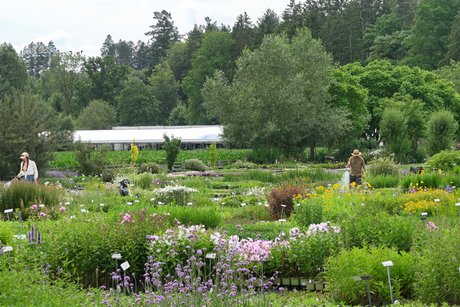 Traumhaft! Traumhaft!