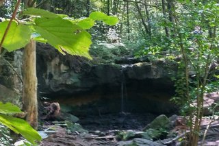 wilde Natur mitten in unserer Gegend