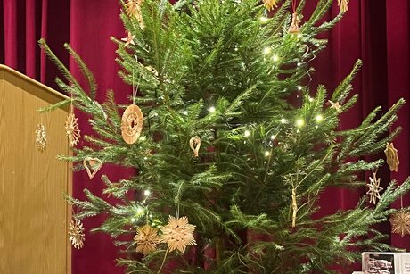 Ein mit Strohsternen geschm&uuml;ckter Weihnachtsbaum