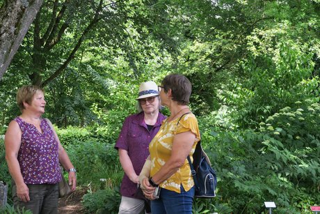 Fachgespräche! Fachgespräche!