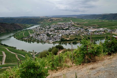 Moselschleife