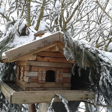 Bild: Futterhäuschen für Vögel