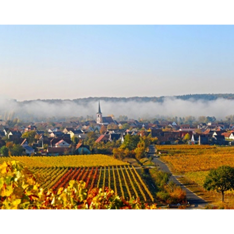 Herbstliches Sommerach