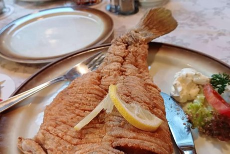 Das Bild vom Karpfenessen zeigt einen lecker zubereiteten Karpfen.