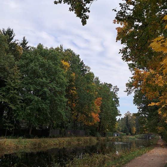 Kanal mit herbstlicher B&ouml;schung