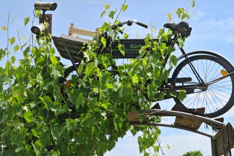 Ein "Hochrad" Ein "Hochrad"