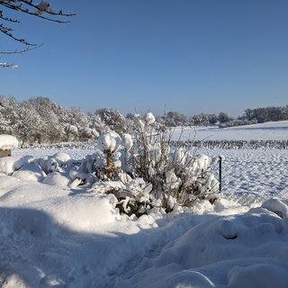 Foto Winterlandschaft