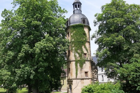 Klosterfahrt Maria Bildhausen_11 Klosterfahrt Maria Bildhausen_11