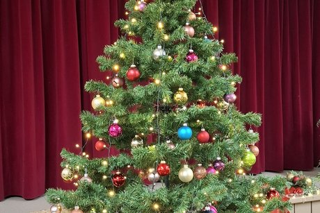 Wir hatten in diesem Jahr einen wunderschönen Christbaum .