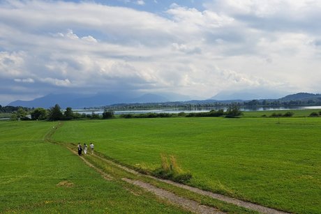Blick auf den Chiemsee