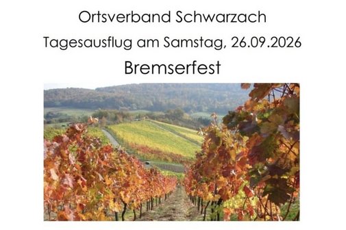 Veranstaltungsflyer-ausschnitt