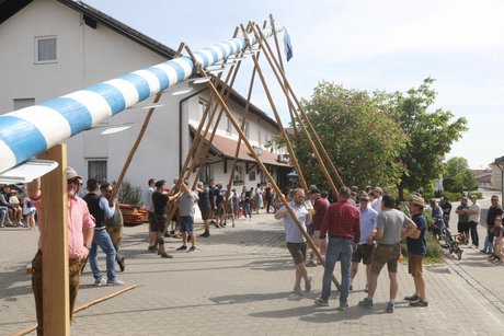 Das Bild zeigt die Männer der Vereine beim Maibaumaufstellen