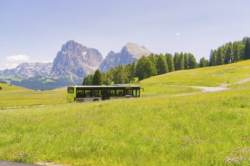 Ein gr&uuml;ner Bus durchquert die Wiesenlandschaft mit Bergen im Hintergrund.