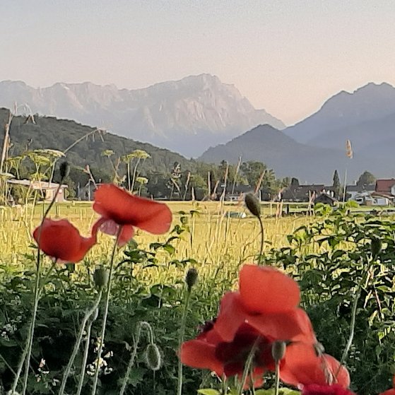 Sommer im Voralpenland