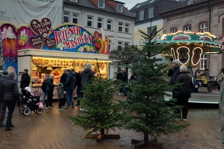Weihnachtsmarkt in Hammelburg_2
